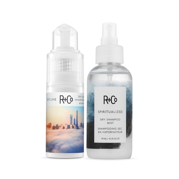 Clean Slate Dry Shampoo Duo – R+Co