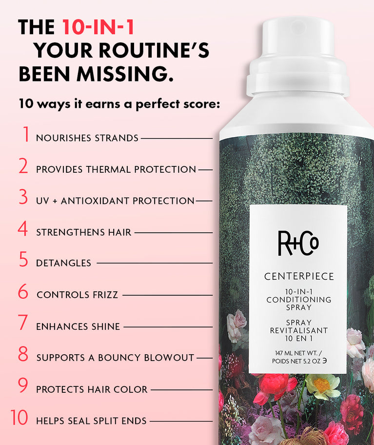R_Co-CENTERPIECE-10-in-1_Web-
