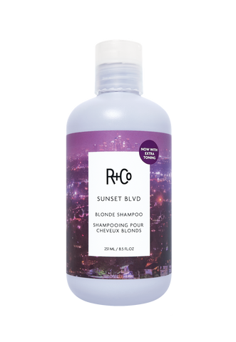 Group – Sunset Blvd Shampoo