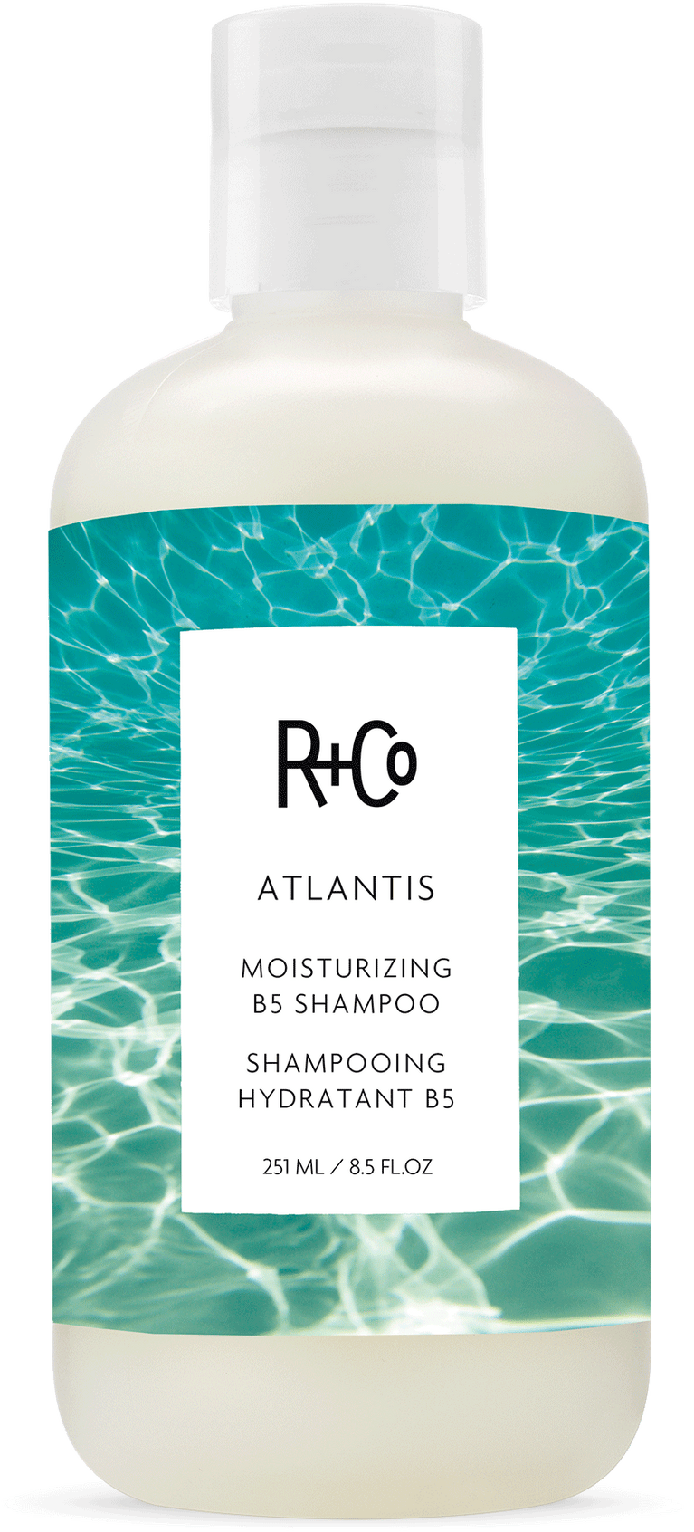 R_Co_WebAssets2021_ATLANTIS-