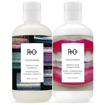 TELEVISION Perfect Hair Shampoo - Mini – R+Co TELEVISION Perfect Hair Shampoo - Mini – R+Co