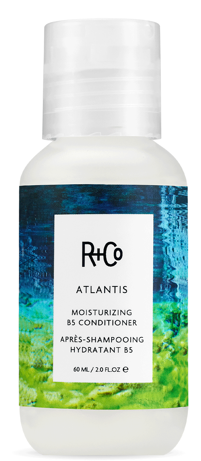 ロバート・キプニス　リトグラフ [エッセンス(III)]ED50/175 ATLANTIS Moisturizing B5 Shampoo Mini – R+Co
